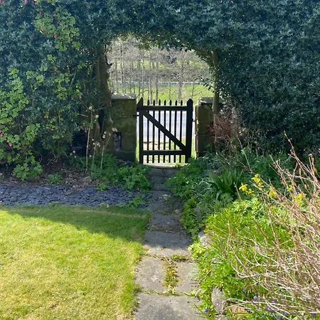 Holly * Hutton le Hole