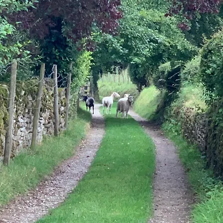 Holly Hutton le Hole
