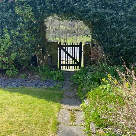 Holly * Hutton le Hole